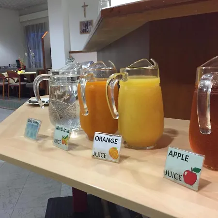 ソンマーホテル カルウェンダル 3* インスブルック